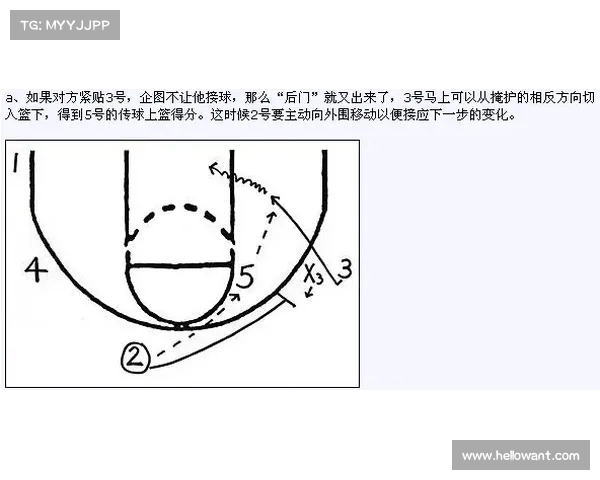 篮球战术创新解析：基于空间配合与多点进攻的现代战术体系探讨